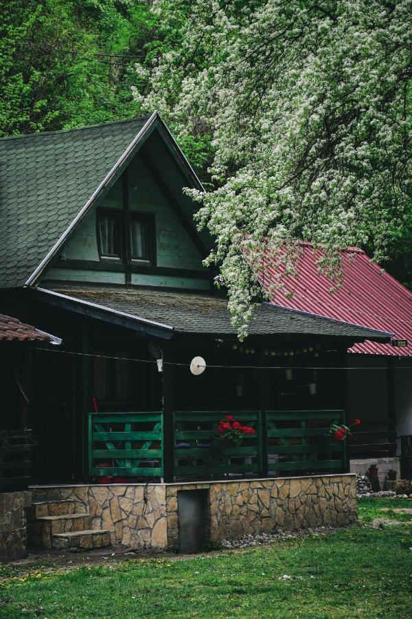 Vikendica,, Tadic,, Ovcar Banja Villa Exterior foto