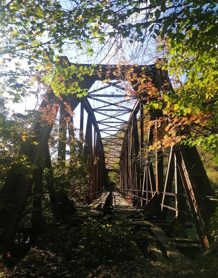 Vikendica,, Tadic,, Ovcar Banja Villa Exterior foto